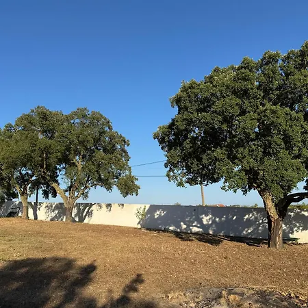 Casa Dos Sobreiros Tatil Evi *