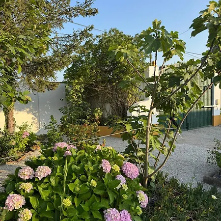 Casa Dos Sobreiros *