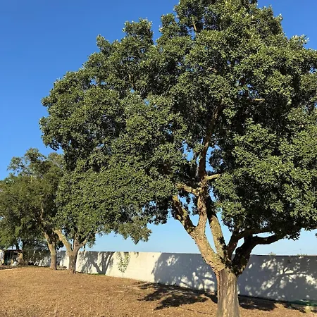 펜션 Casa Dos Sobreiros